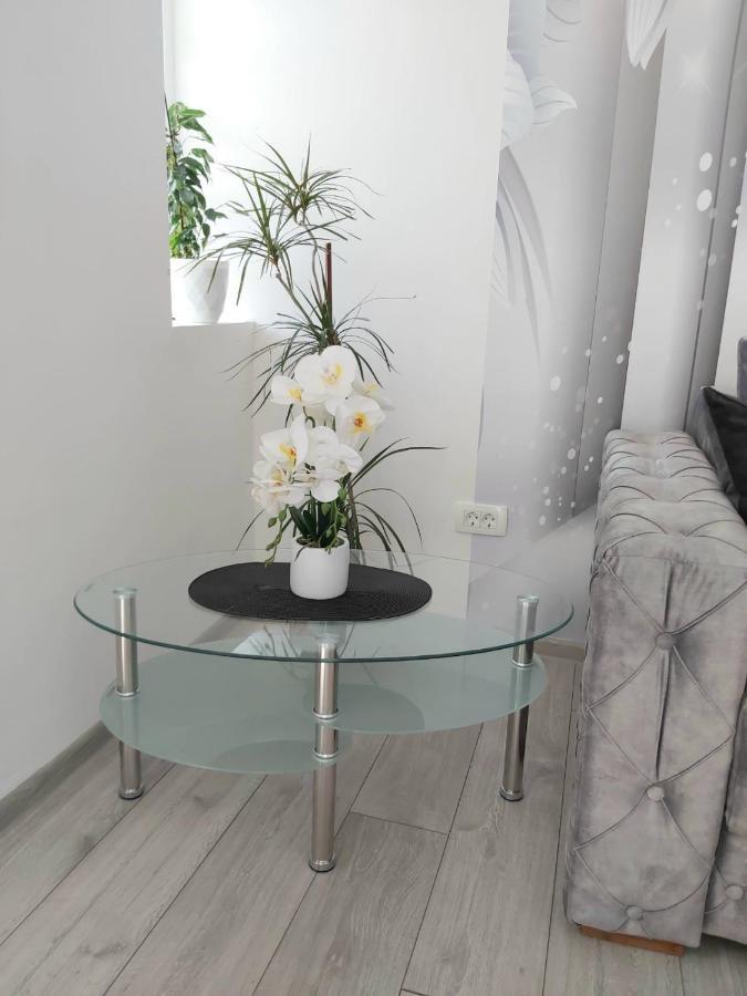 Apartment Marina 2 Kotor Kültér fotó